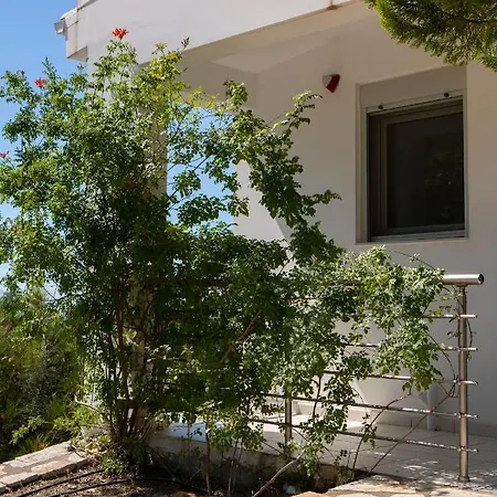 Dream View Villa *