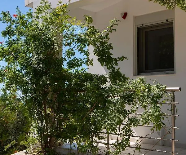 Dream View Villa *